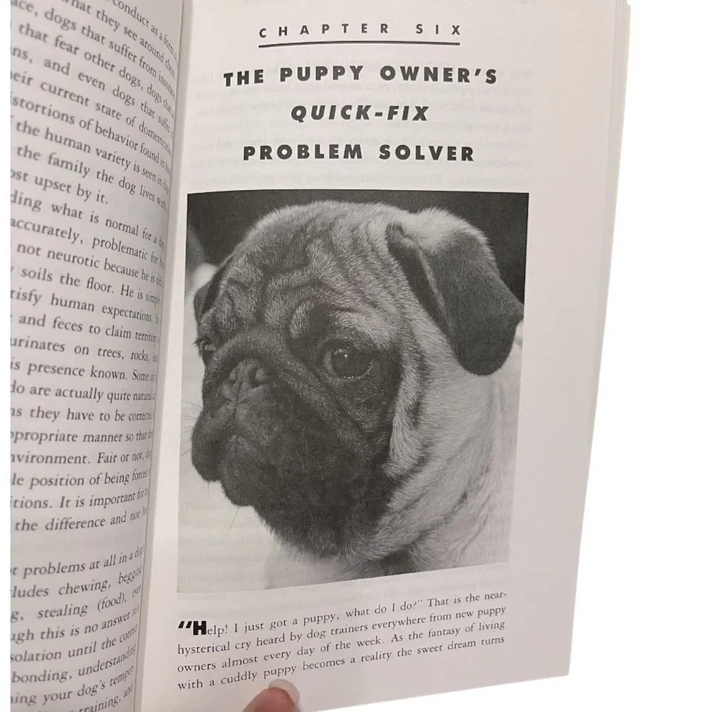 Book I Just Got a Puppy, What Do I Do? Mordecai Siegal